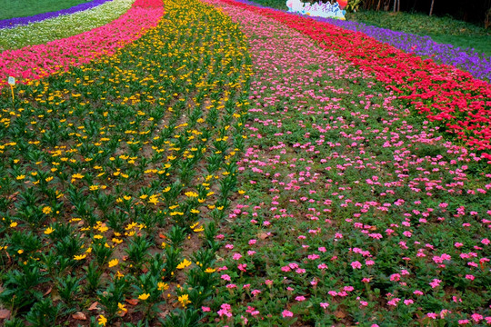 杭州西溪湿地花朝节