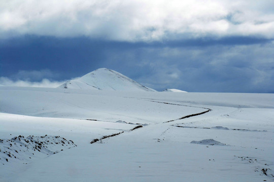 雪域高原