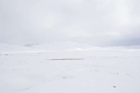 雪原