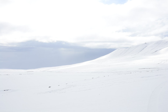 雪域高原