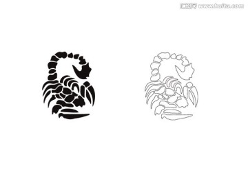 蝎子圖案
