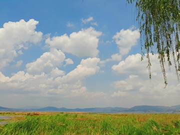 湿地景观