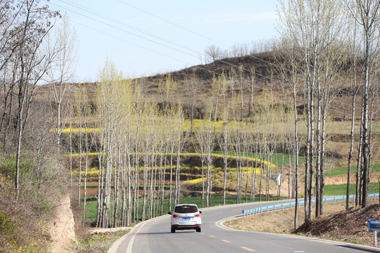 山区公路