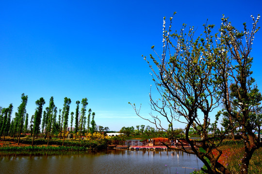 滇池湿地