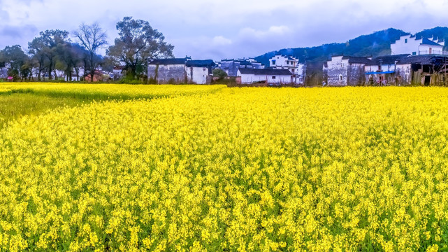 婺源巡检司村全景