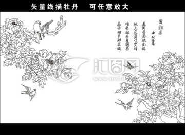 矢量圖牡丹線描