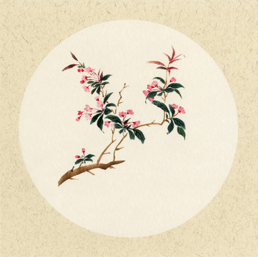 國(guó)畫(huà)海棠