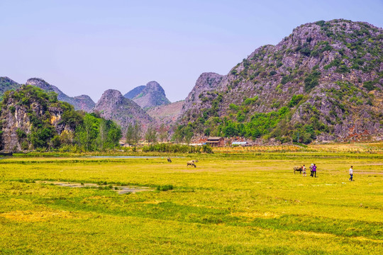 高山田園風(fēng)光