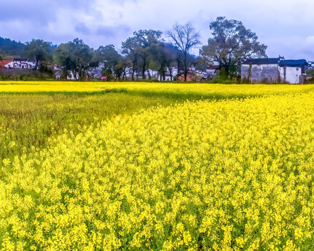 婺源巡检司村