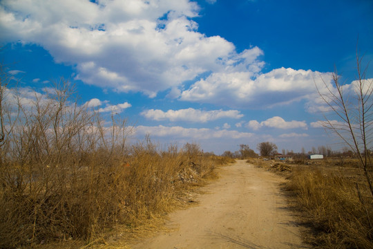 乡村路 土路