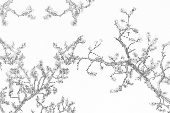 桃林素描圖