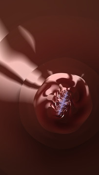 3D質(zhì)感現(xiàn)代藝術(shù)裝飾畫