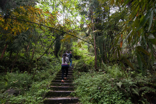 山间小路