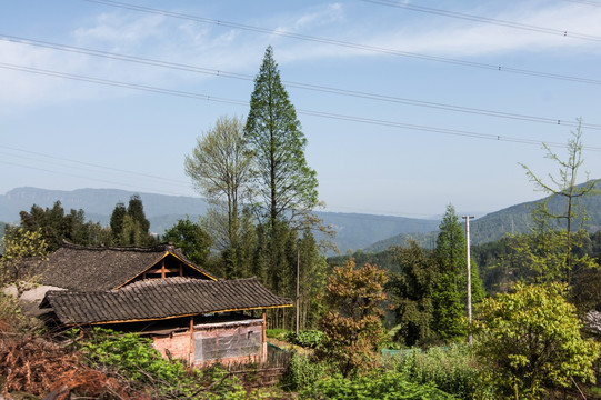 高山人家