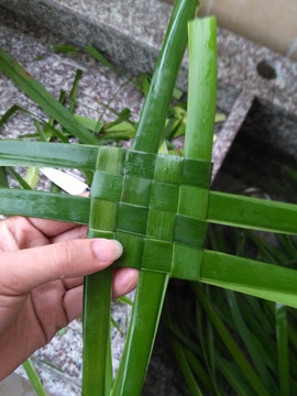 缠荚子饭包