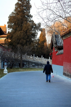 中国 故宫博物院 皇宫