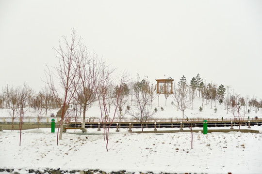 冬季雪景