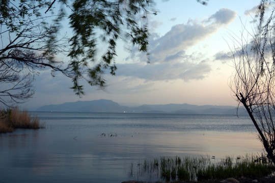 暮色 湖边 洱海