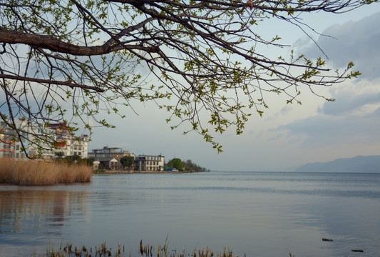 洱海风光 湖泊 湖面