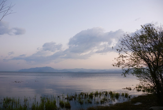 洱海 湖泊 清晨