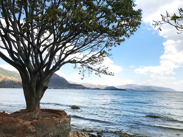 洱海风景 