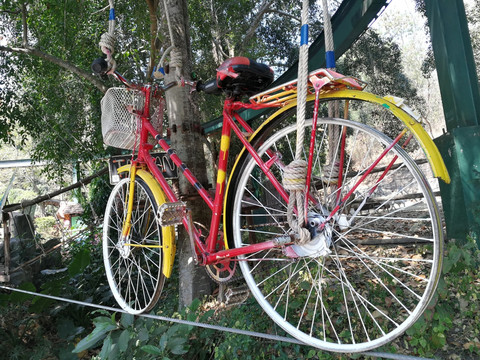 彩色自行车