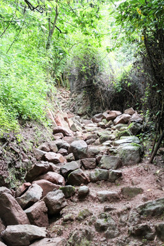 茶马古道