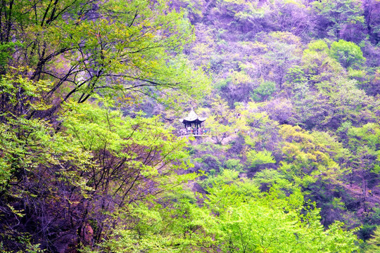 宝泉风景