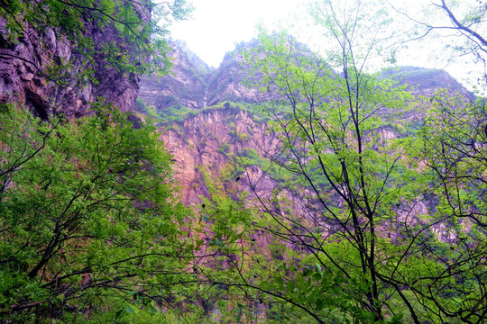 宝泉风景