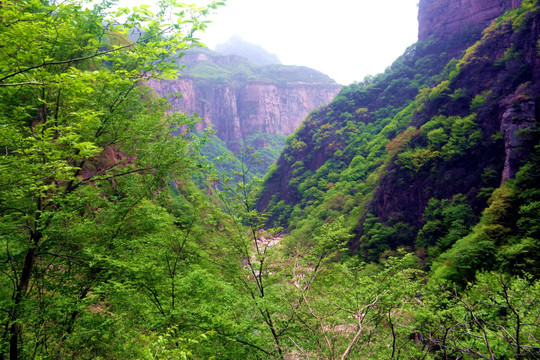 宝泉峡谷