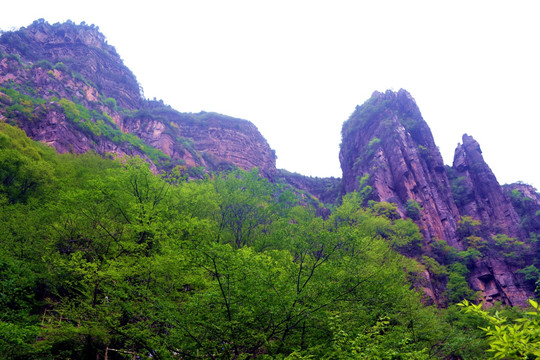 宝泉高山