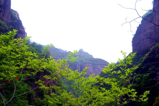 宝泉高山