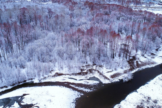 雪后河流红柳 航拍