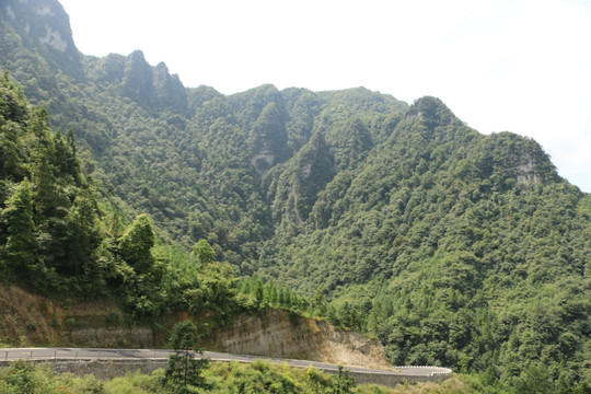 油沙河