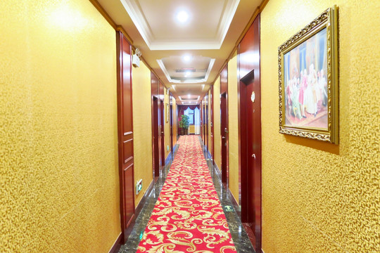 酒店走廊 金色走廊