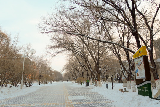 街道雪景