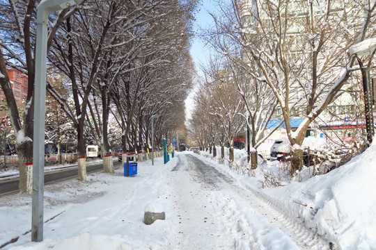 冬季景色 冬季街道