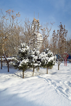 公园雪景