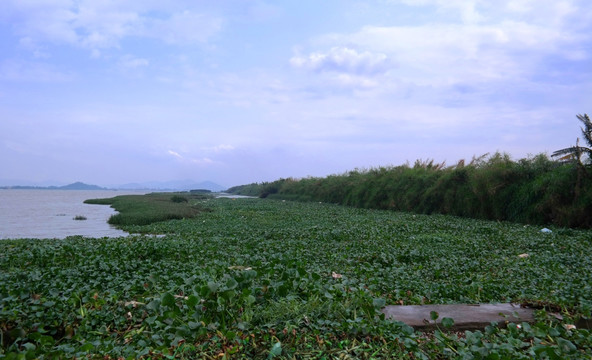 三江沙仔岛美景