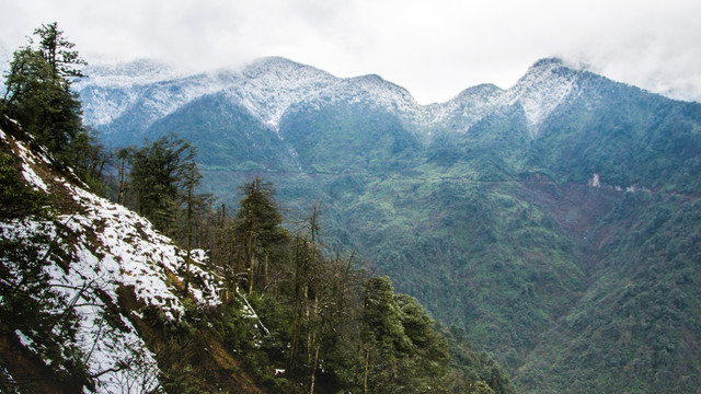 瓦屋山森林公园