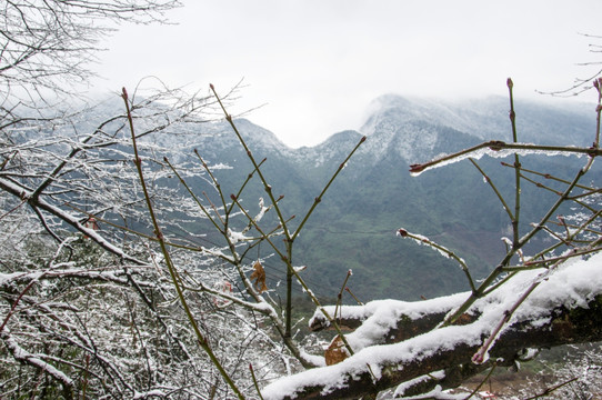 洪雅瓦屋山国家森林公园