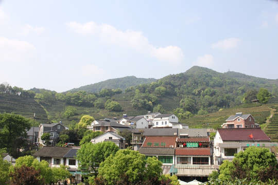 杭州龙井村