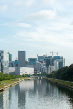 科技园 大沙河 城市建筑