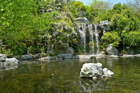 吴淞炮台湾湿地公园 炮台湾湿地