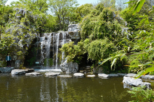 吴淞炮台湾湿地公园 炮台湾湿地