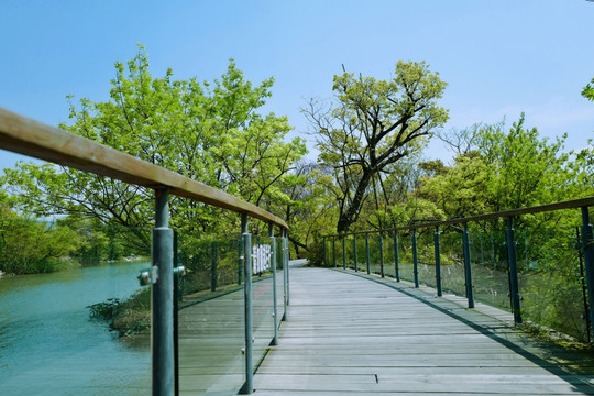 吴淞炮台湾湿地公园 炮台湾湿地