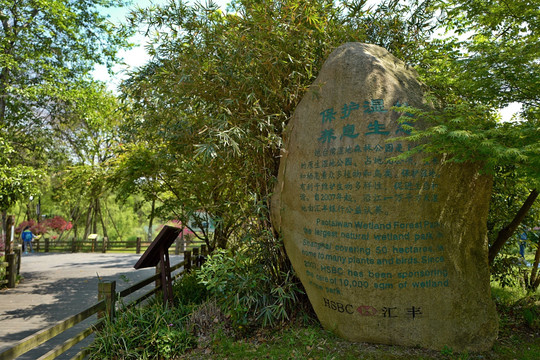 吴淞炮台湾湿地公园 炮台湾湿地