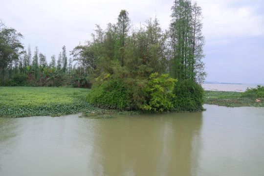 三江沙仔岛海景