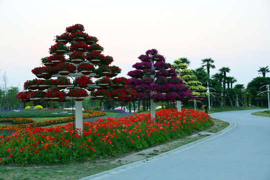 花吊篮 花篮