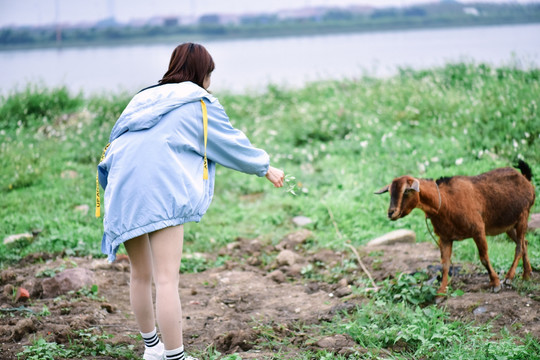 美女户外郊游